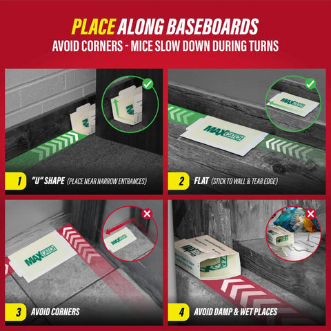Placement tips for Heavy Duty Sticky Glue Traps For Indoor Home Use Straight Up Bug Slap Boards That Crush Mice Rats Roaches And Spiders Dead Fast 36 Pack.
