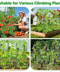 U Shaped Garden Trellis For Raised Beds Outdoor Climbing Plants, Built Tough Metal Arch Support For Tomatoes Peppers Cucumbers Peas Zucchini, Improves Airflow And Sunlight, 47.2In L By 30In W By 47.2In H in use with vegetables