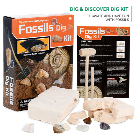 Sweet Kids STEM Science Starter Pack Featuring Monocular Compound Microscope With Heavy Duty Black Metal Arm Fossil Dig Kit shown with tools and fossil blocks.