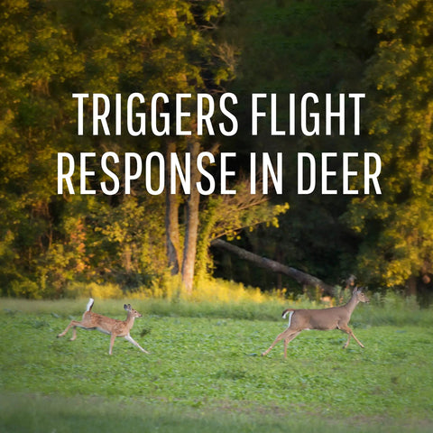 Deer Repellent Stations For Outdoors, 6 Waterproof Stakes For Gardens And Lawns, All Season Protection, Odorless To Humans Yet Drives Deer Away, Easy To Install Yard Guard, 6 Pack with deer running in background.