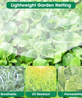 Two Pack 10 By 33 Feet Backyard Garden Netting Ultra Fine Mesh That Keeps Birds And Bugs Out While Shielding Vegetables