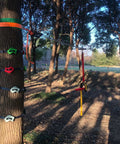 16 Piece Kids Climbing Rocks Set With Zip Line Accessories installed on tree in forest, showing non slip rock holds.