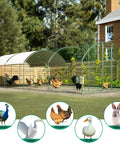 Sturdy Walk In Chicken Coop Run With Waterproof Cover And Lockable Door Beefy Heavy Duty Galvanized Steel Frame Upgraded Triangular Support Walk In Poultry Cage For Backyard Garden And Farm 10 Ft L By 26 Ft W By 6.56 Ft H shown with chickens and rabbits outside a brick house