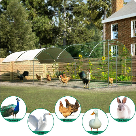 Sturdy Walk In Chicken Coop Run With Waterproof Cover And Lockable Door Beefy Heavy Duty Galvanized Steel Frame Upgraded Triangular Support Walk In Poultry Cage For Backyard Garden And Farm 10 Ft L By 26 Ft W By 6.56 Ft H shown with chickens and rabbits outside a brick house