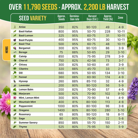 Seed variety chart showing Herb Seeds Variety Pack With 11,700 Non GMO Heirloom Seeds For Indoor Outdoor Gardening In Individual Packets Including Basil Cilantro Dill Thyme Catnip Mint Rosemary Sage Oregano And More Great For Hydroponics And Home Cooks. Approximately 11,790 seeds and 2,200 lb harvest overview.