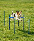 Dog jumping over Adjustable Agility Jumps With Weave Poles Three In One Backyard Outdoor Obstacle Course Training Set Easy Setup Height Adjustable 0 To 31 Inches Ground Anchors Included.