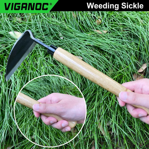 Wide Blade Garden Hoe With 9.6 Inch Wood Handle And 4.9 Inch Japanese High Carbon Steel Blade used for weeding in grass.