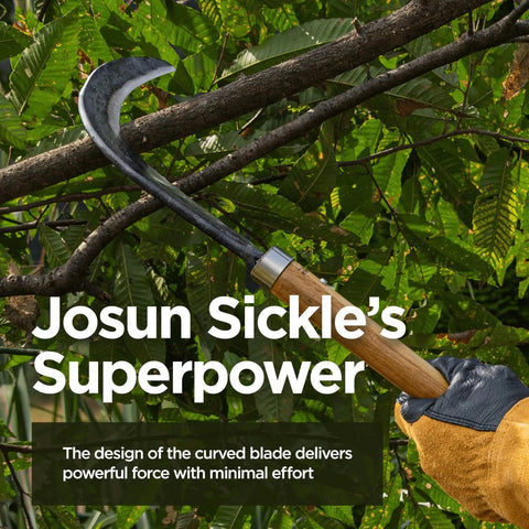 Josun Sickle Hand Forged Weeding And Brush Clearing Tool With Razor Sharp Blade And Chestnut Wood Handle in use cutting branches.