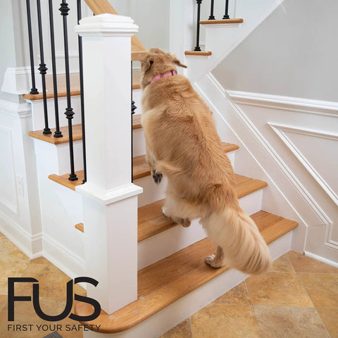 Dog climbing stairs with clear no slip stair treads indoors, anti slip tape for wood floors, 15 feet of PEVA non skid tape 4x32 inch strips.