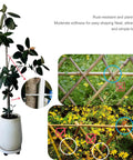 Plant supported by bamboo stakes in a pot, close-up of tie application on stem; two images showing neat, rust-resistant bamboo fencing in gardens.