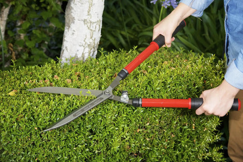 Person using Extendable Hedge Shear With 15 To 26 Inch Reach, 8.5 Inch Forged High Carbon Steel Blades, Lightweight Red Handles With Comfort Grips on bush