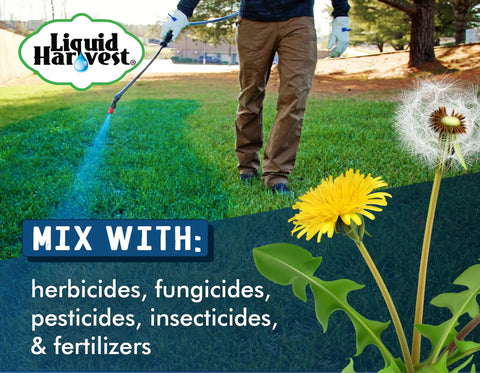 Person applying Blue Spray Pattern Indicator Dye For Lawns And Turf on grass, used with herbicides, fungicides, pesticides, and fertilizers