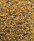 Fiddle Leaf Fig Fertilizer Bundle With Full Spectrum Micronutrients, Slow Release Feeds Lasting Up To Eight Months, Four 6oz Bags For An Over Year Supply, Easy Instructions, Not Just For Fiddle Fig Trees. close-up of slow-release fertilizer granules