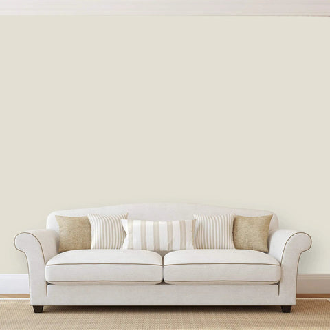 Living room with walls painted using Signature Interior Exterior Eco Friendly Paint Snow White Low Sheen 1 Gallon