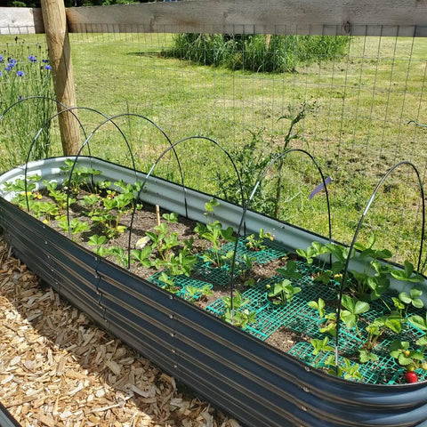 All Purpose Garden Hoop Kit With 5 Sets Of 7 Foot Fiberglass Hoops For Raised Beds Rust Proof Frame Garden Netting Greenhouse Kit Shade Cloth And Row Cover 25 Pieces over plants