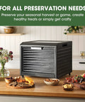 Keep It Fresh With This Top Shelf Electric Food Dehydrator Boasting Ten Rustproof Stainless Steel Trays on kitchen counter