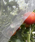 Four By Ten Foot Garden Netting Pest Barrier For Plants Keeps Bugs Out While Air Flows Fine Mesh 0.8mm By 1mm over tomatoes