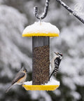 Two birds on Squirrel Proof Metal Mesh Finch Feeder For Outdoors Hanging Nyjer Seed Tube Bird Feeder 2.5 Lb Large Capacity Rust Resistant Powder Coated Yellow Finish