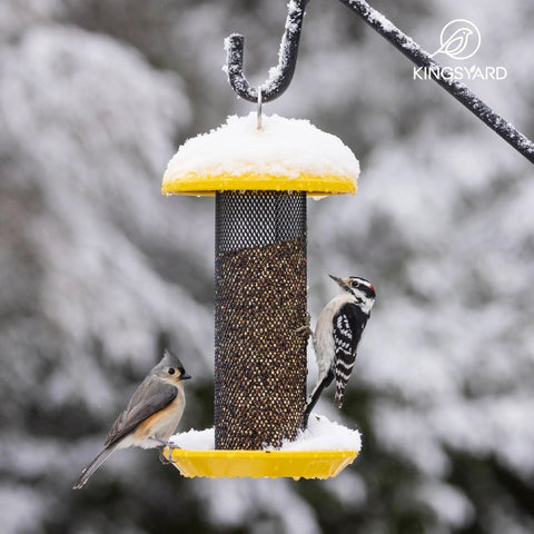 Two birds on Squirrel Proof Metal Mesh Finch Feeder For Outdoors Hanging Nyjer Seed Tube Bird Feeder 2.5 Lb Large Capacity Rust Resistant Powder Coated Yellow Finish