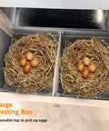 Interior view of spacious wooden chicken coop and rabbit hutch with nesting box, showing two nests filled with eggs.