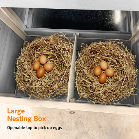 Interior view of spacious wooden chicken coop and rabbit hutch with nesting box, showing two nests filled with eggs.