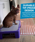 Dog on KLIMB Jr Dog Training Platform For Behavior Basics With DIY Guide Safe Space To Stop Begging Jumping And Barking Made In The USA Purple