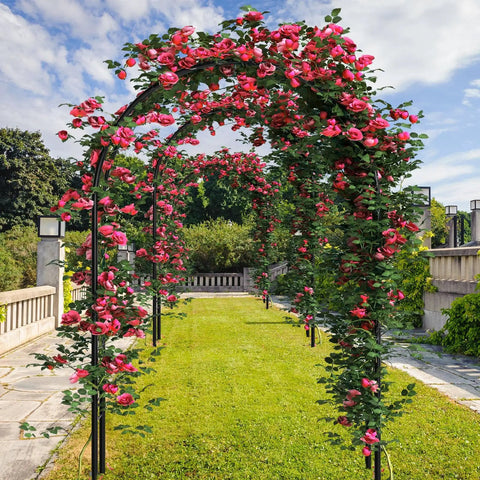 3 Pack Metal Garden Arch Trellis For Wedding Arches And Pergolas 7.9 Feet Tall with red climbing flowers outdoors
