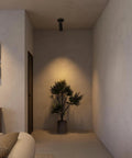LED Dimmable Ceiling Spotlight Gallery Style Indoor Accent Picture Light illuminating a hallway plant in soft 3000K white light