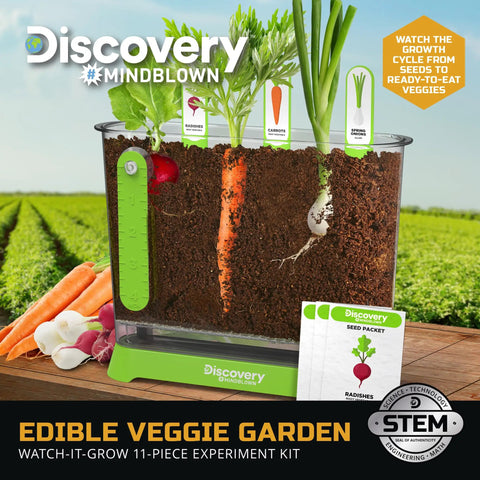 Edible Veggie Garden Watch It Grow Kit For Kids showing clear container with soil and growing carrot, radish, and onion.