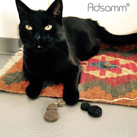 Black cat with yellow eyes next to 1200 Pack Black Round Self Adhesive Felt Pads For Furniture And Chair Glides on a rug.
