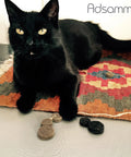 Black cat lying on a colorful rug with 60 Self Stick Felt Pads Diameter 1.57 Inches White Round Self Adhesive Furniture Glides With 0.059 Inch Thick Felt