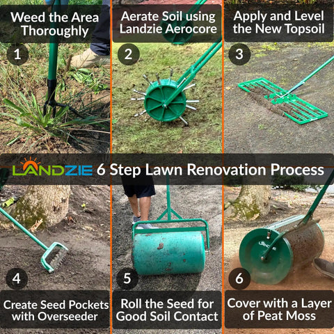 Image showing a 6-step lawn renovation process with various lawn tools, including a 24 Inch Compost And Peat Moss Spreader Roller For Lawn.