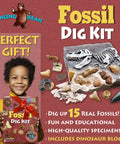 Child holding Fossil Dig Kit For Kids, Excavate 15 Real Fossils, Dinosaur Bones And Shark Teeth, Educational Science Activity
