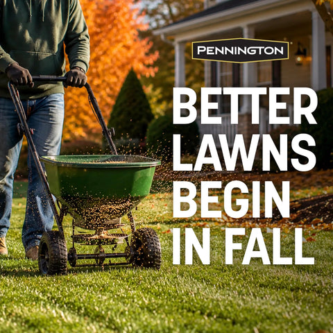 Premium Kentucky 31 Tall Fescue Grass Seed To Build A Badass Drought Resistant Lawn That Powers Through Heavy Foot Traffic and Thrives In Full Sun To Medium Shade For Quick Germination Inside A 7 Lb Bag, shown being spread in autumn.