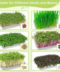 Image of Stainless Steel Sprouts Growing Kit 2 Tier 10 Inch Trays Microgreens Seed Sprouting Tray With Encrypted Mesh Filters for sprouts.