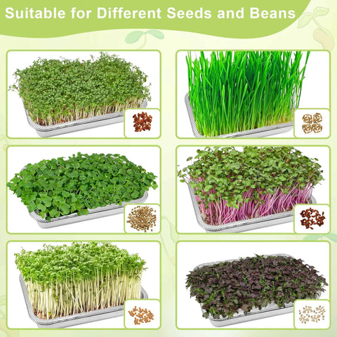 Image of Stainless Steel Sprouts Growing Kit 2 Tier 10 Inch Trays Microgreens Seed Sprouting Tray With Encrypted Mesh Filters for sprouts.