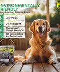 Premium Exterior Wood Stain And Sealer In One Semi Transparent Cedar Color Heavy Duty Formula Tough As Nails With Strong Uv Block For Decks Fences And Siding Built Like A Tank Easy 5 Gallon Pour on a wooden surface with a golden retriever nearby.