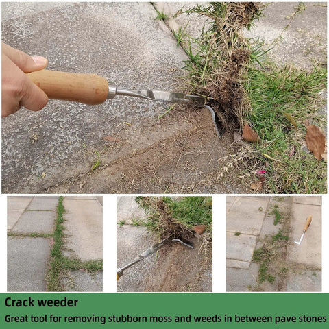 Crevice Weeding Tool With Serrated Tines, Stainless Steel Crack Weeder For Driveways, Sidewalks And Patio Cracks That Effortlessly Removes Weeds And Moss With An L Shaped Blade, removing weeds from patio cracks