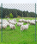 Beefy 7 Feet U Channel Fence Post Set 10 Pack with 50 Zip Ties and 20 Clips, installed in a field with sheep