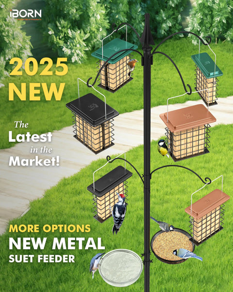 Double Suet Feeder For Outdoors Weatherproof All Metal Cage With Taller Grid Perch For Woodpeckers Easy To Clean And Refill Durable Black Bird Feeder For Outdoor Yards And Gardens hanging on a pole in a garden setting.
