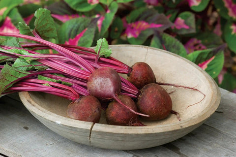 Detroit Dark Red Beet Seed Tape Medium Top With 45 Seeds Per Tape Easy Peasy To Sow Pre-Spaced Beets For Sweet Flesh Garden