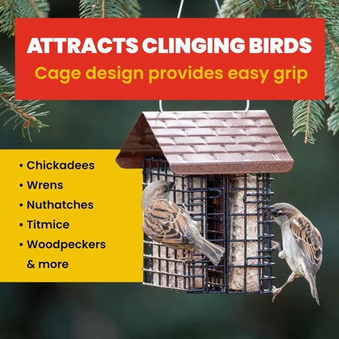 Double Suet Cake Feeder With Weather Guard Built To Last Steel Construction Black Powder Coat Finish Holds Two Suet Cakes To Attract Woodpeckers And Backyard Birds Weatherproof Bird Feeder For Year Round Feeding Measures 6.75 By 5 By 7 Inches shown hanging with two birds feeding from the suet cages.