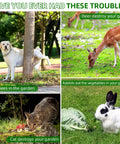 Solar Powered Yard Animal Deterrent With Motion Sensor Ultrasonic Cat Fox Raccoon Rabbit Squirrel Coyote Repeller Waterproof Outdoor Pest Guard For Garden Lawn Farm 2 Pack showing dog, deer, cat, and rabbit in a garden