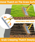 Thatch Rake 15 Inch Wide Dethatcher for cleaning dead grass and debris with adjustable steel tines on grass surface