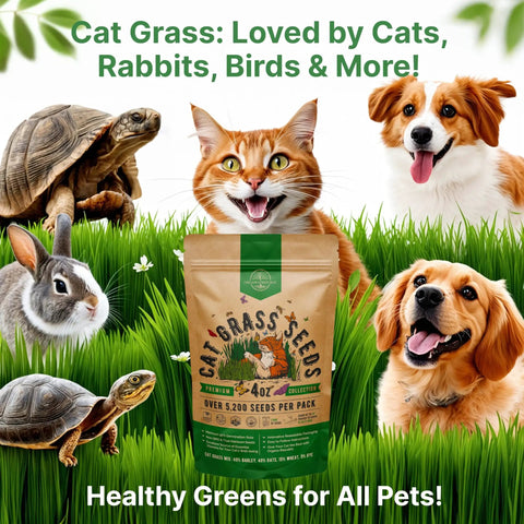 Cat Grass Seed Mix For Indoor Cats And Pets With 5200 Non GMO Heirloom Seeds In A 4 Oz Pack To Grow Fresh Barley Oats Rye And Wheat Grass For Hairball Relief No Fuss Indoor Planting
