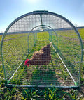 Outdoor Metal Chicken Run Tunnel For Eight To Twelve Chickens Predator Proof Easy Install Tough As Nails Durable Coop Accessory