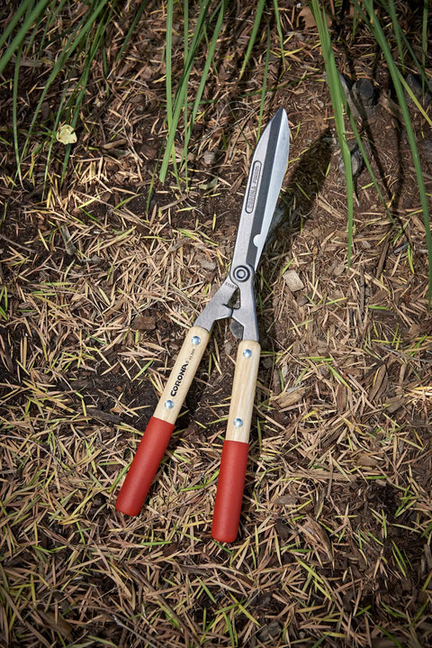 Forged Hedge Shears With Eight And A Quarter Inch Blade Heavy Duty Garden Pruning Tool Resharpenable Forged Steel Blades
