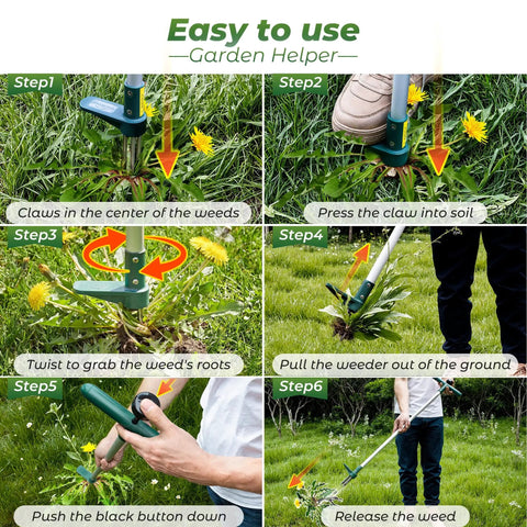 Step-by-step guide using Stand Up Weed Puller With 39 Inch Handle 3 Claw Garden Weeder Long Reach Root Pulling Tool For Dandelions