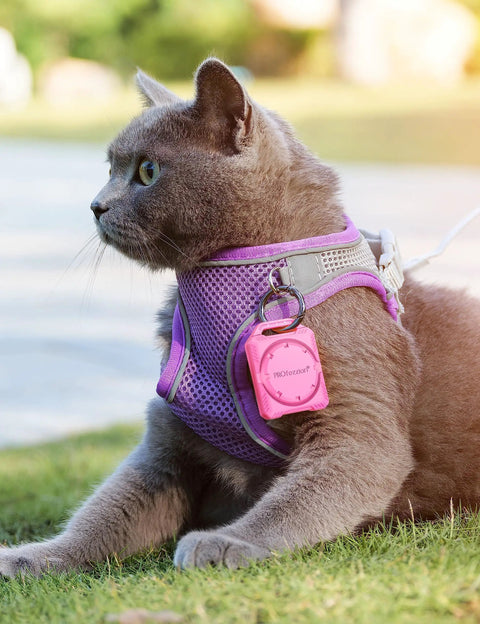 Cat wearing purple harness with pink AirTag Holder Case With Key Ring And 3M Mount For Keychain, Dog Collar, Backpack, Luggage, Bike, Car And More, IPX8 Waterproof Fully Enclosed Design