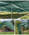 Sun Shade Cloth 6x8 Ft Green HDPE Mesh Breathable Garden Shade Cover For Plants Vegetables Greenhouse Patio Chicken Coop And Dog Kennel That Keeps The Sun At Bay 35 45 Percent Sun Protection Durable Outdoor Use 2 To 3 Years installed over garden.